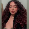 vvih_sou2