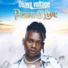 oluwavoltage8