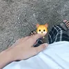usernrsg3akxa5