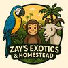 zays.exoticz
