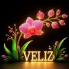 veliz_tridi 🍊