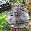andrey_vladimirovich_125