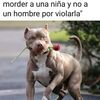 _stel_la