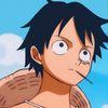 .luffytorao