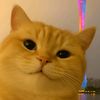 vychuuu_