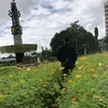 huynh_anh_nhat