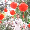 tambanduthu