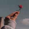 youssefrajeh5