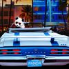 hotrodpanda