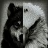karr__mma