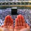 mudassirmehmood14