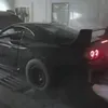 wildkizzer03