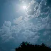 nasrin_sikder3