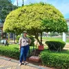 miannasilitonga