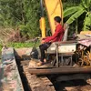 trminhtai003