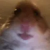 peculiareyes