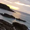 beboushark