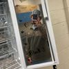 hayden_hoilman