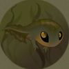 tadpole0053