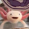 axolotl_keeper47