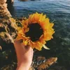 user3470784