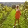 andrea_barbour
