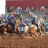 ropin17