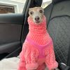 gweniesmommy
