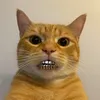 yoowazaap