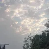 om_ibrahim07