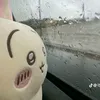 ngoc_coc_gvft