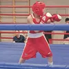 grigorev2011