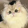 lynkchy110705