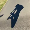 loopswithjosh