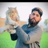 amirzeb886