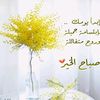ibrahem6688