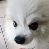 motroqwer