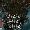 mohamedmahmoud4667