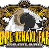 cempekemakifarm