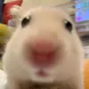 esnupinho