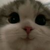 kimvyy10