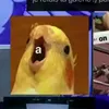 blan.yt