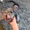 snwossniwowmba