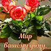 user9386178046489