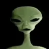 pipidastr_2000