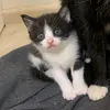 mdhdhdndjug