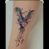 lanietadecolorao50