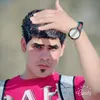 ai.alai