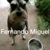fernandomiguel_adm