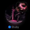 stubyknave
